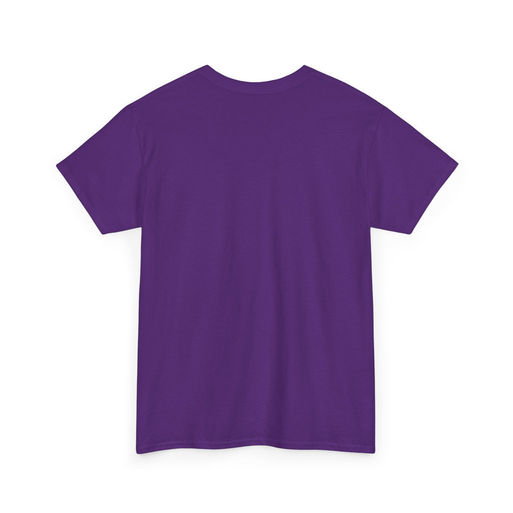 T‑Shirt — Cute “No Probllama” Llama Graphic Tee - Adult